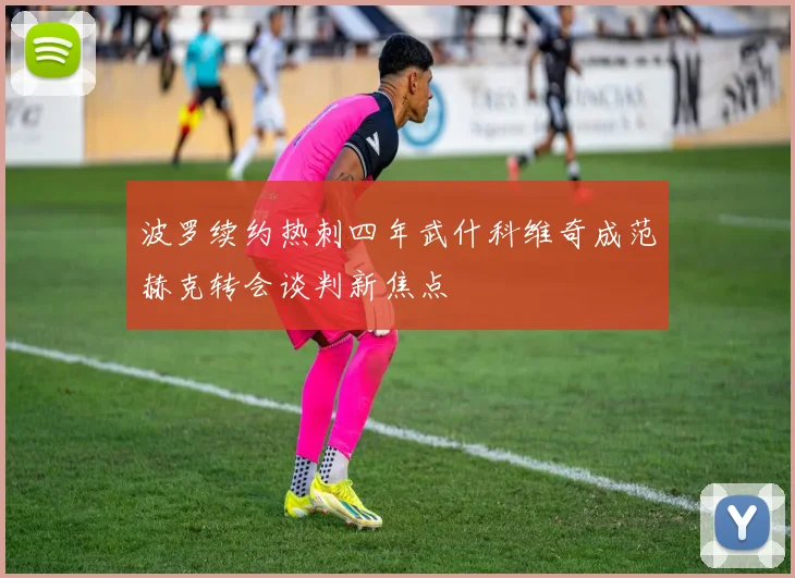 波罗续约热刺四年武什科维奇成范赫克转会谈判新焦点