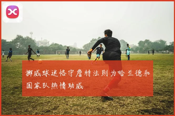 挪威球迷恪守詹特法则为哈兰德和国家队热情助威